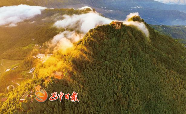 天然氧吧避暑熱